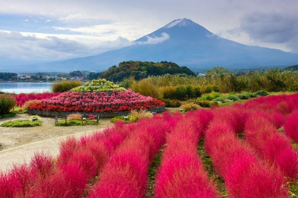 Tour Du Lịch Nhật Bản Mùa Hè: Tokyo - Núi Phú Sĩ - Nagoya - Kyoto - Osaka: Oishi Park