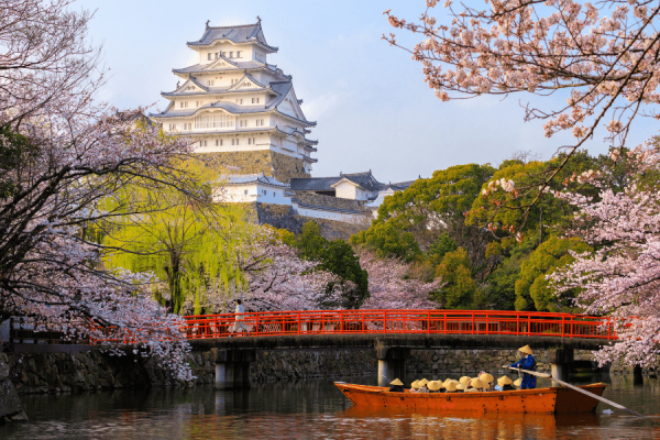 Tour Du Lịch Nhật Bản Ngắm Hoa Anh Đào 2025: Lâu Đài Osaka